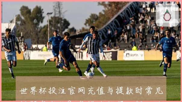 世界杯投注官网充值与提款时常见问题有哪些？怎样才能顺利解决这些疑虑？