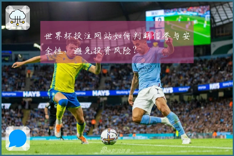 世界杯投注网站如何判断信誉与安全性，避免投资风险？