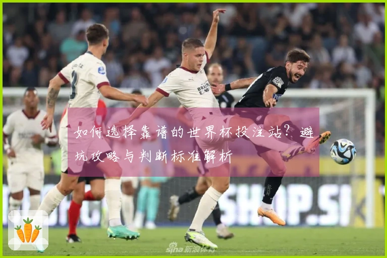 如何选择靠谱的世界杯投注站？避坑攻略与判断标准解析