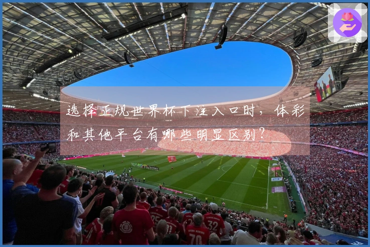 选择正规世界杯下注入口时，体彩和其他平台有哪些明显区别？