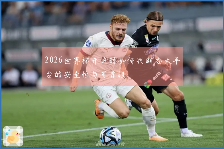2026世界杯开户时如何判断各大平台的安全性与可靠性