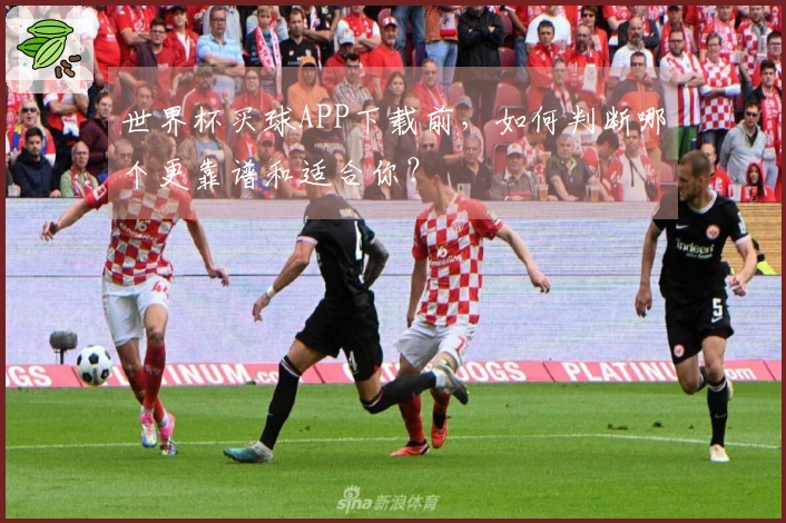世界杯买球APP下载前，如何判断哪个更靠谱和适合你？