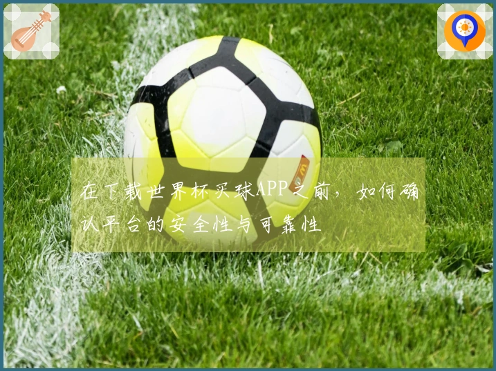 在下载世界杯买球APP之前，如何确认平台的安全性与可靠性