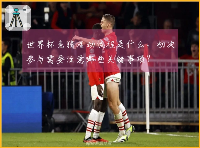 世界杯竞猜活动流程是什么，初次参与需要注意哪些关键事项？