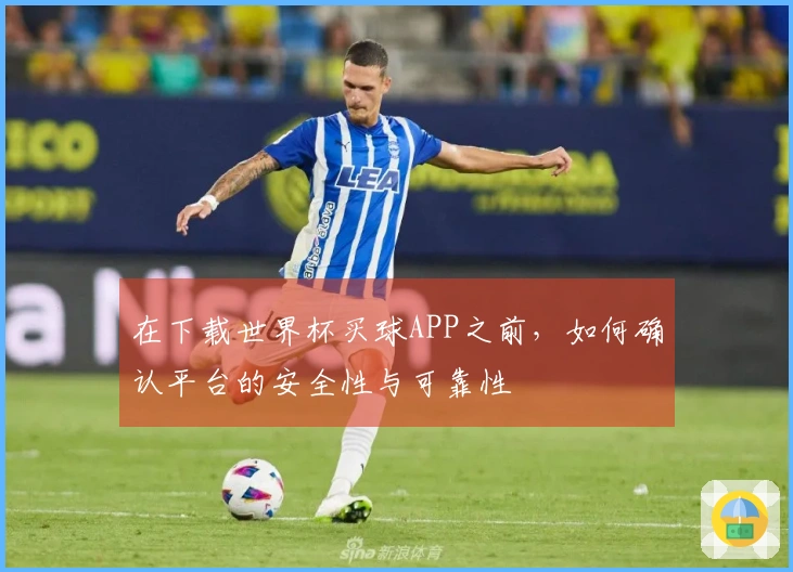 在下载世界杯买球APP之前，如何确认平台的安全性与可靠性
