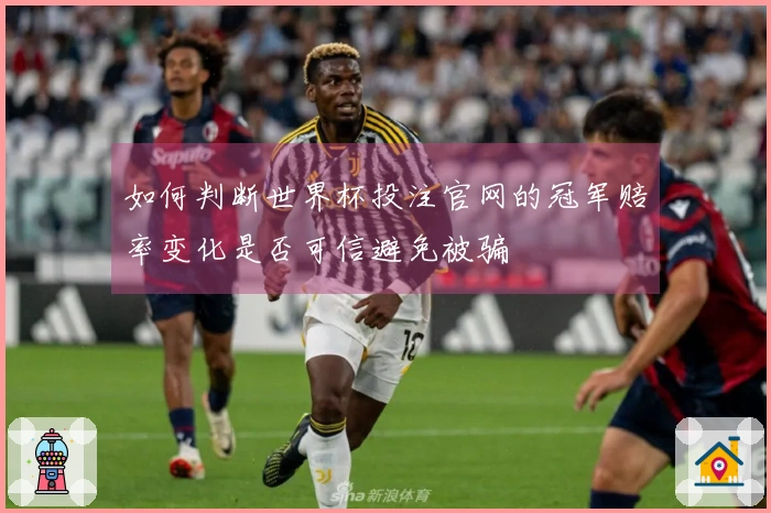 如何判断世界杯投注官网的冠军赔率变化是否可信避免被骗
