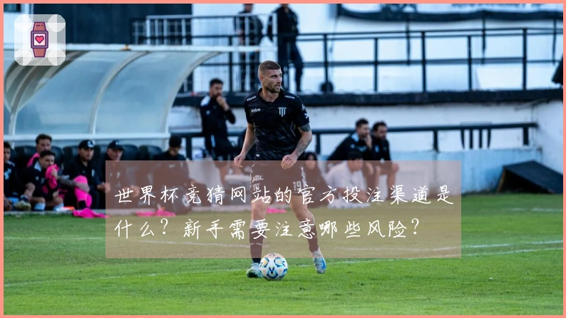 世界杯竞猜网站的官方投注渠道是什么？新手需要注意哪些风险？