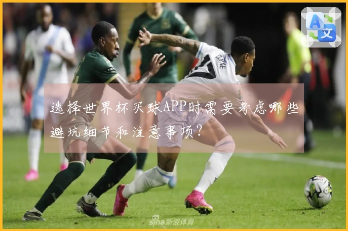 选择世界杯买球APP时需要考虑哪些避坑细节和注意事项？