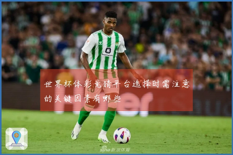 世界杯体彩竞猜平台选择时需注意的关键因素有哪些