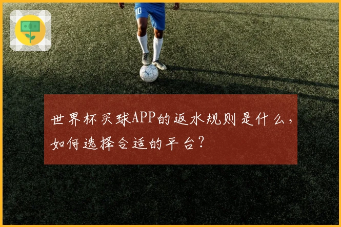 世界杯买球APP的返水规则是什么，如何选择合适的平台？