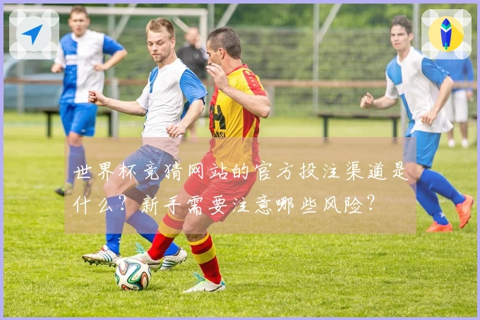 世界杯竞猜网站的官方投注渠道是什么？新手需要注意哪些风险？