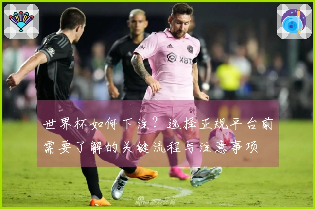 世界杯如何下注？选择正规平台前需要了解的关键流程与注意事项