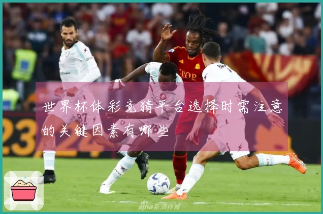 世界杯体彩竞猜平台选择时需注意的关键因素有哪些