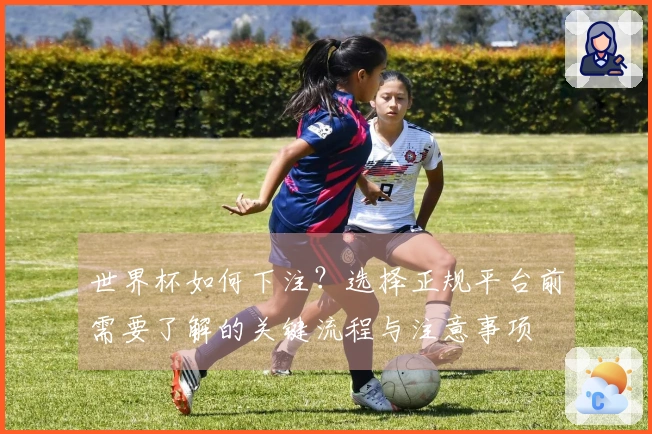 世界杯如何下注？选择正规平台前需要了解的关键流程与注意事项