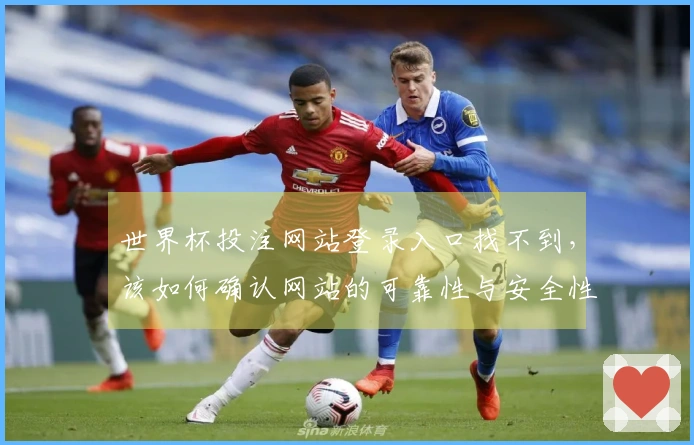 世界杯投注网站登录入口找不到，该如何确认网站的可靠性与安全性