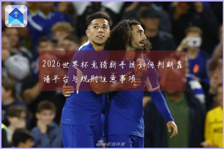 2026世界杯竞猜新手该如何判断靠谱平台与规则注意事项