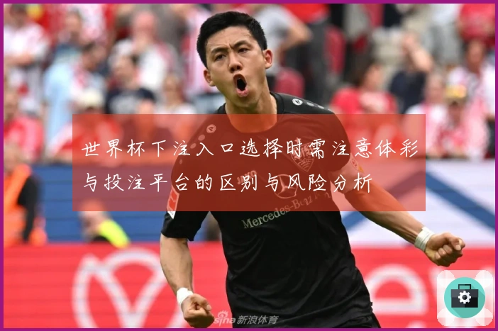 世界杯下注入口选择时需注意体彩与投注平台的区别与风险分析