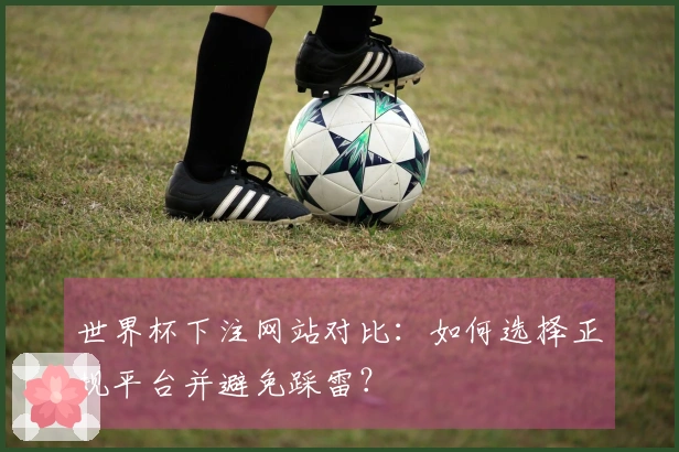 世界杯下注网站对比：如何选择正规平台并避免踩雷？