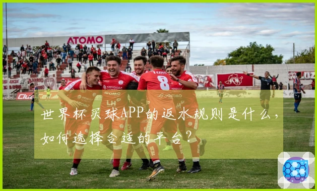 世界杯买球APP的返水规则是什么，如何选择合适的平台？