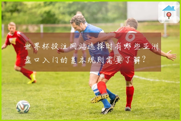 世界杯投注网站选择时有哪些亚洲盘口入门的基本规则需要了解?