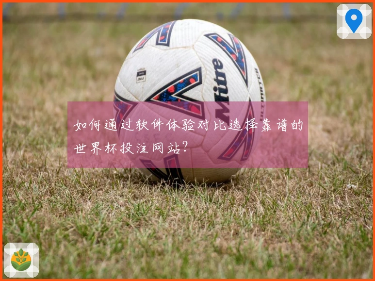 如何通过软件体验对比选择靠谱的世界杯投注网站？