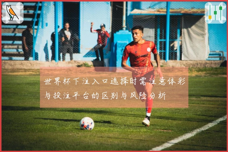 世界杯下注入口选择时需注意体彩与投注平台的区别与风险分析