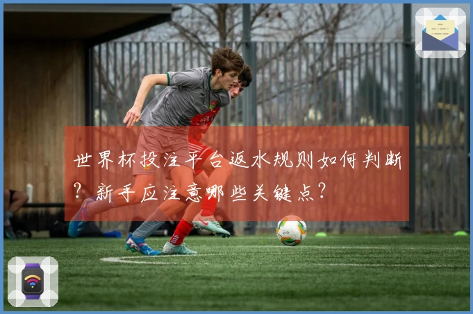 世界杯投注平台返水规则如何判断？新手应注意哪些关键点？