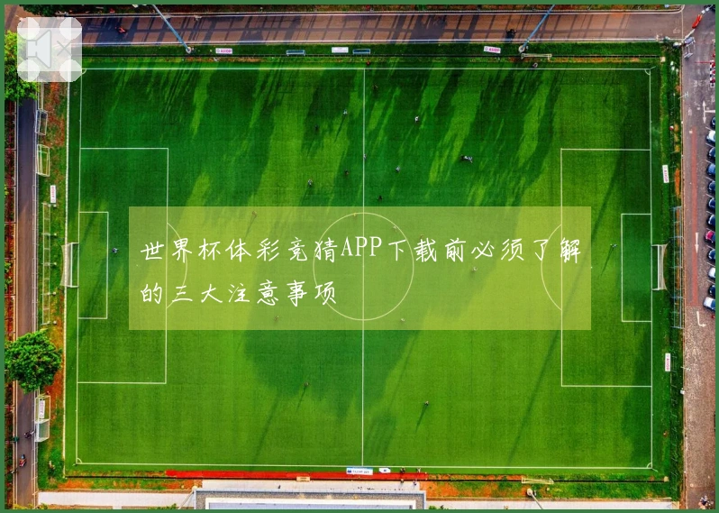 世界杯体彩竞猜APP下载前必须了解的三大注意事项
