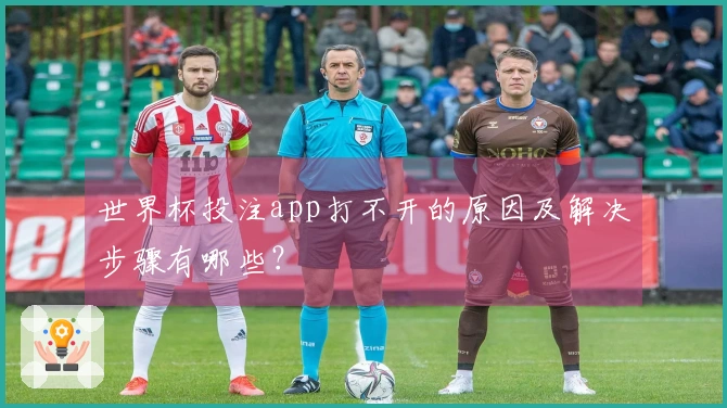 世界杯投注app打不开的原因及解决步骤有哪些？