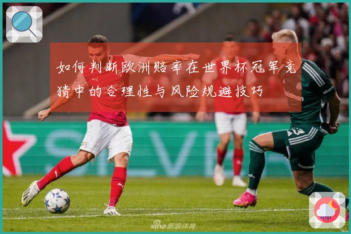 如何判断欧洲赔率在世界杯冠军竞猜中的合理性与风险规避技巧