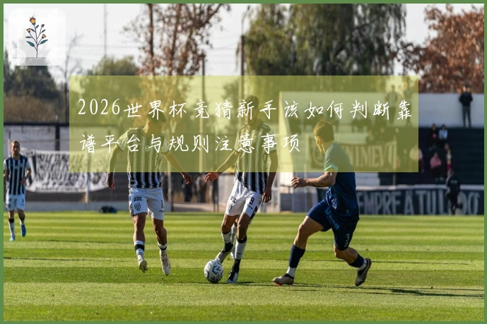 2026世界杯竞猜新手该如何判断靠谱平台与规则注意事项