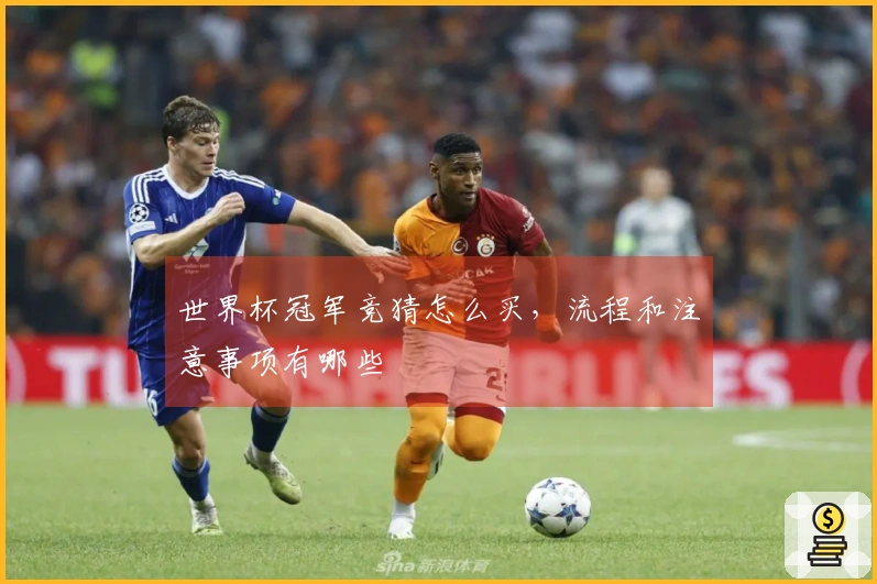 世界杯冠军竞猜怎么买，流程和注意事项有哪些