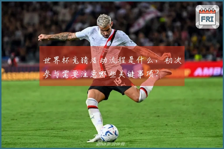 世界杯竞猜活动流程是什么，初次参与需要注意哪些关键事项？