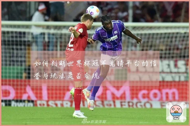 如何判断世界杯冠军竞猜平台的信誉与玩法是否合规