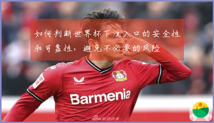 如何判断世界杯下注入口的安全性和可靠性，避免不必要的风险