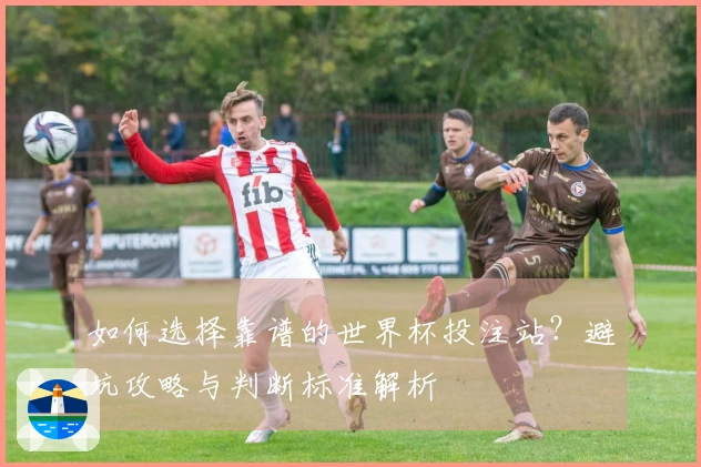 如何选择靠谱的世界杯投注站？避坑攻略与判断标准解析
