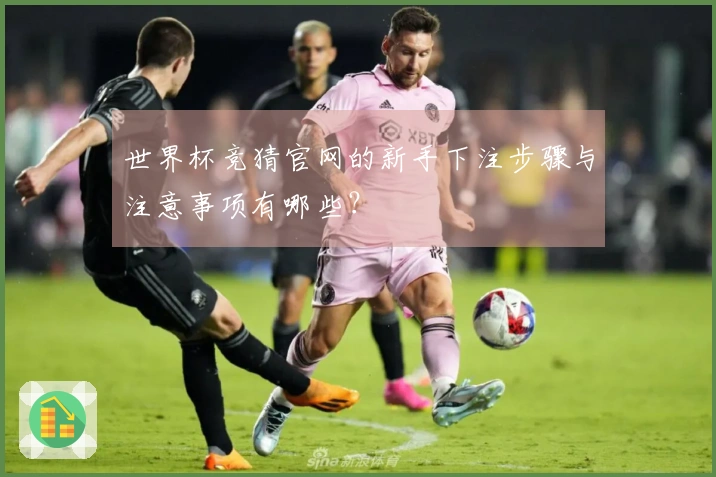 世界杯竞猜官网的新手下注步骤与注意事项有哪些？